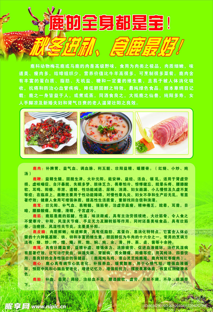 鹿的功效
