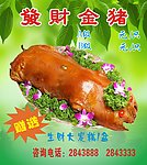 南海渔村浮猪