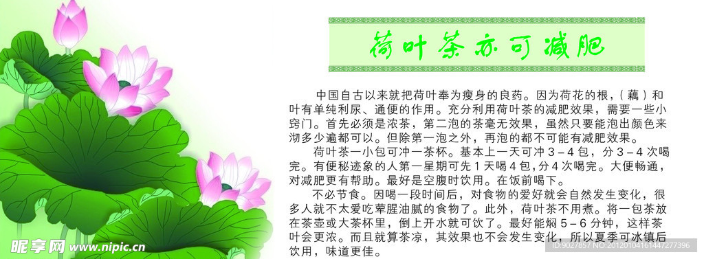 荷花