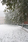 操场雪景