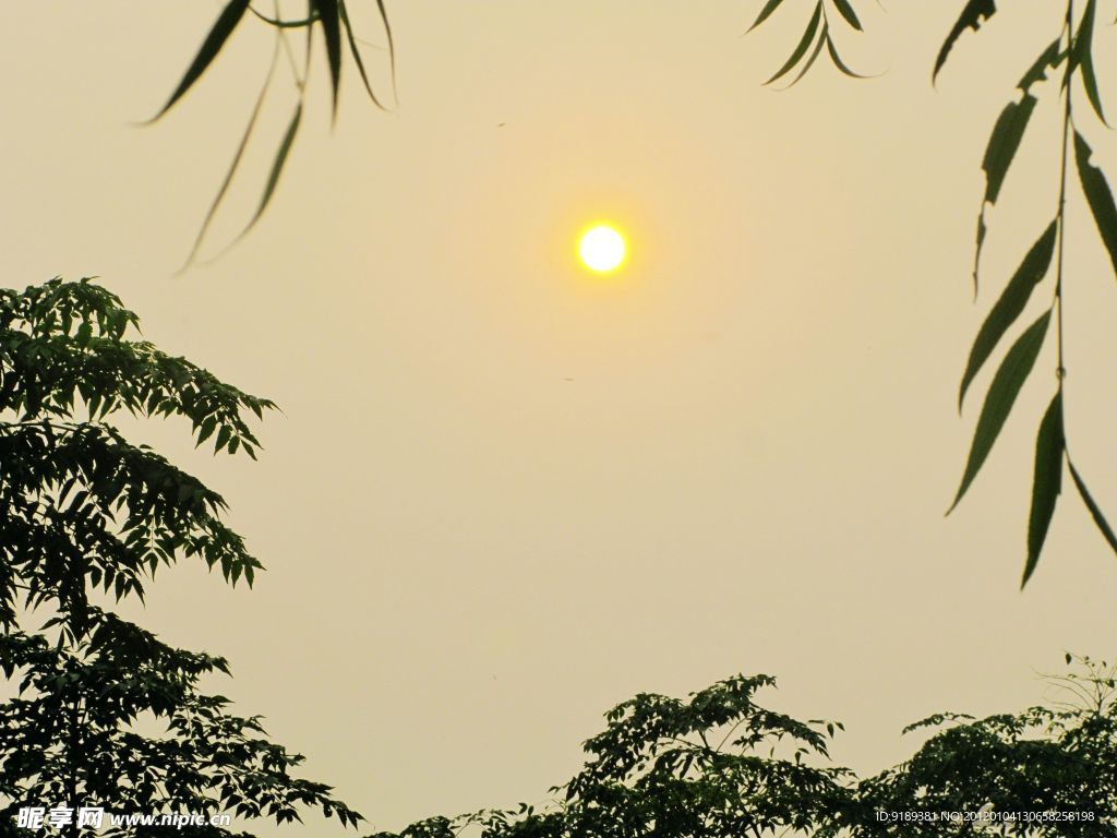 夕阳