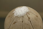 融雪