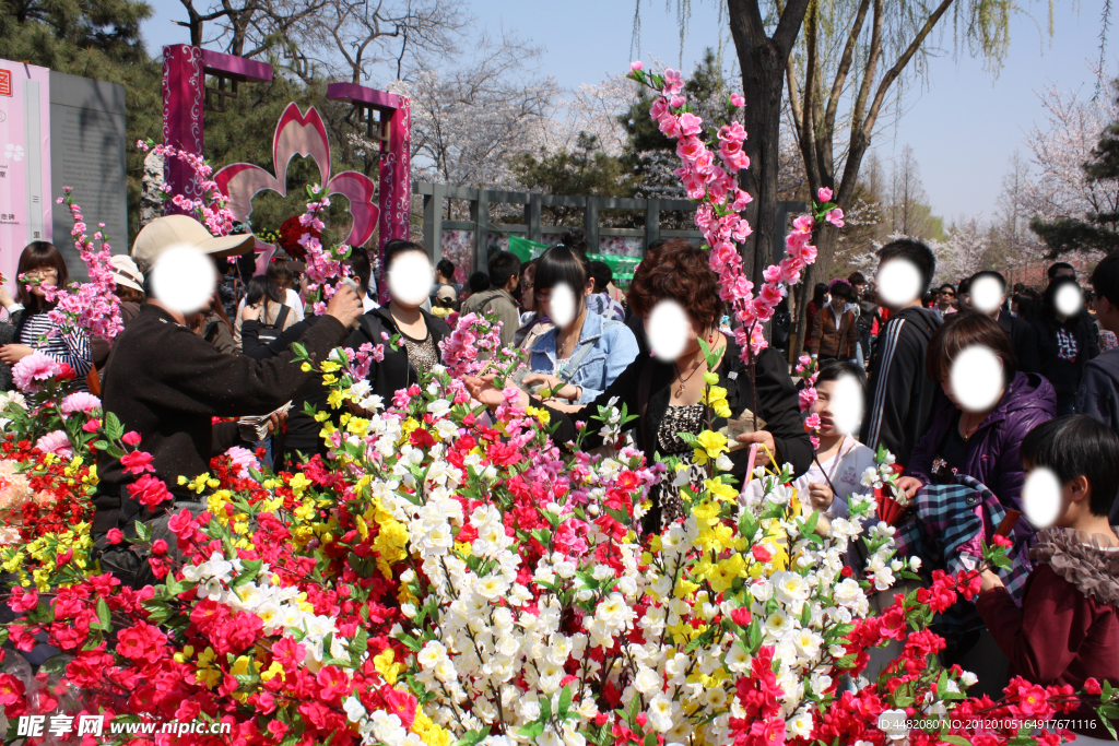 樱花