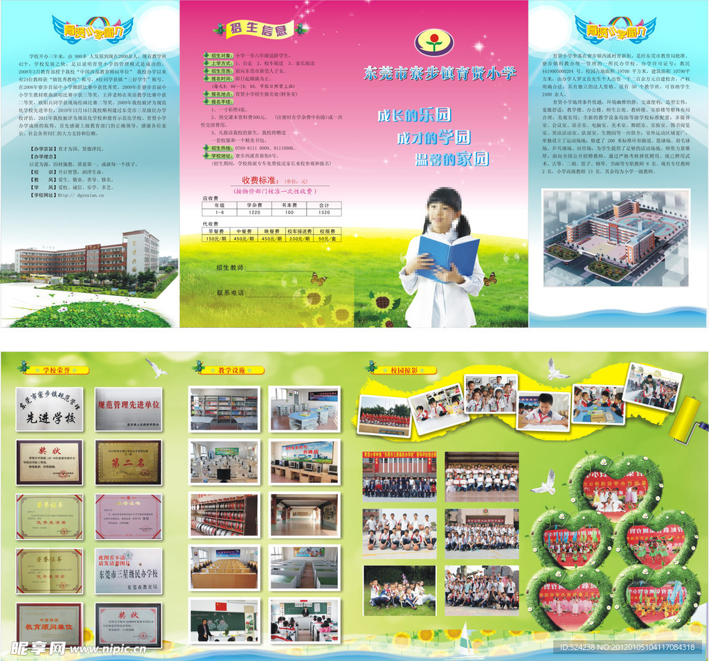 学校折页