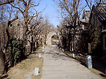 黄叶村小景(非高清)