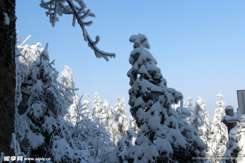 雪景 峨眉山