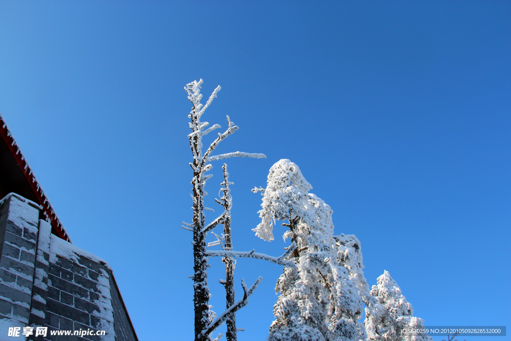 雪景