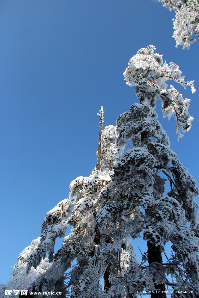 雪景 峨眉山