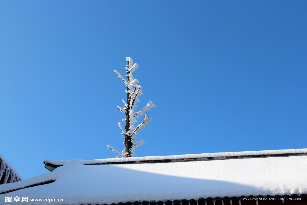 雪景