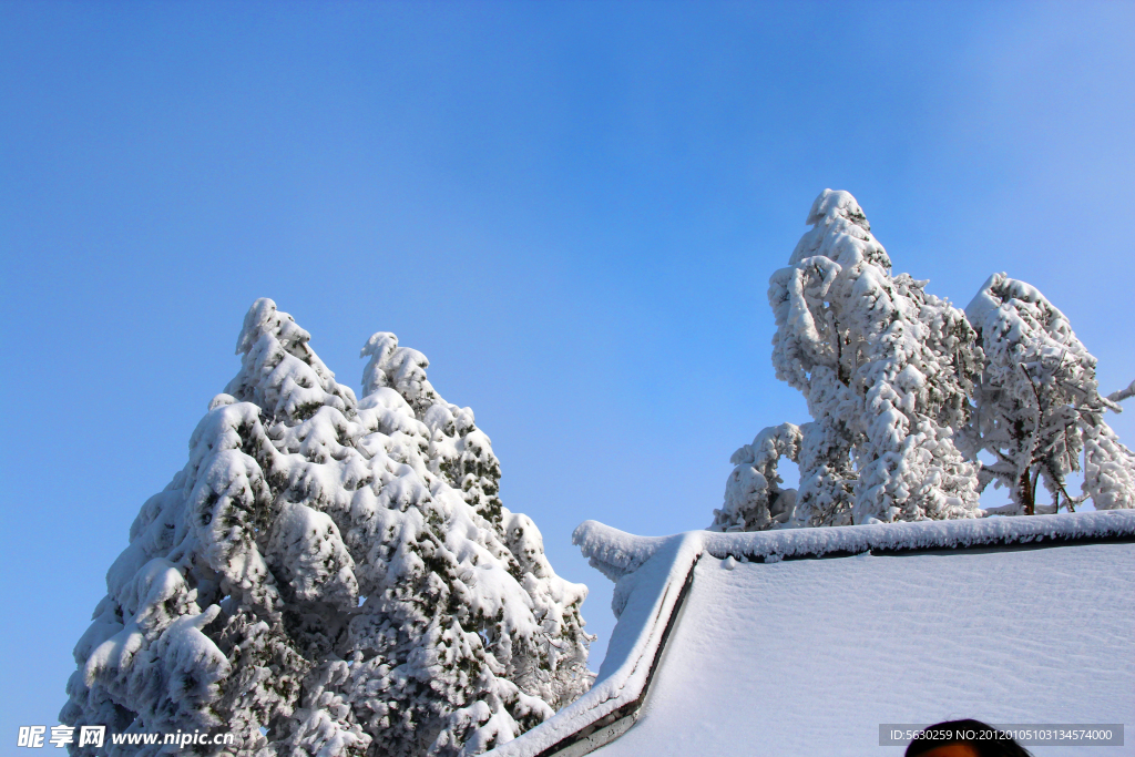 雪景