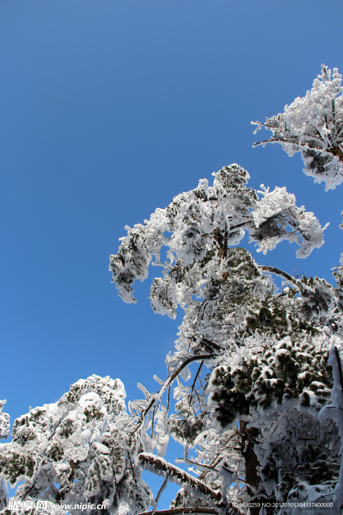 雪景 峨眉山