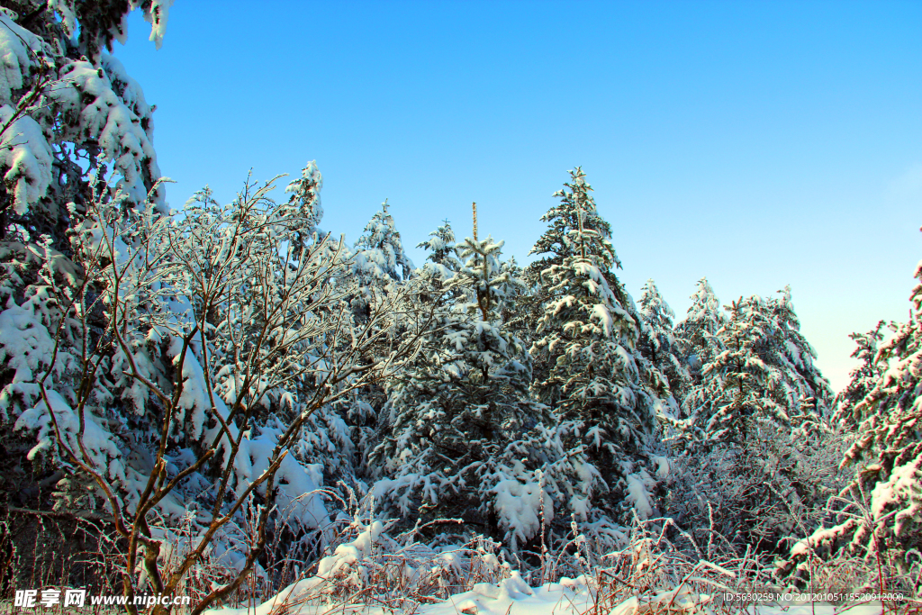 雪景 峨眉山