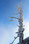 峨眉山风景 峨眉山雪景