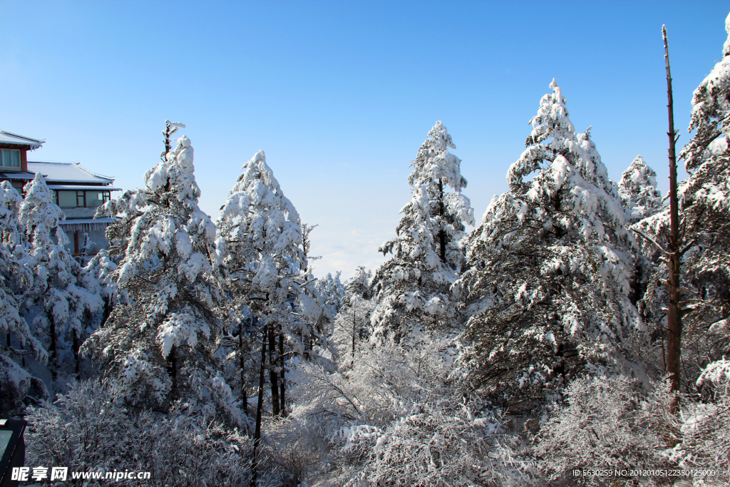 峨眉山风景 峨眉山雪景