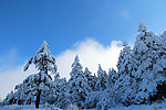 峨眉山 雪景
