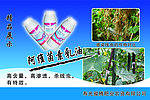 感染线虫的作物对比图