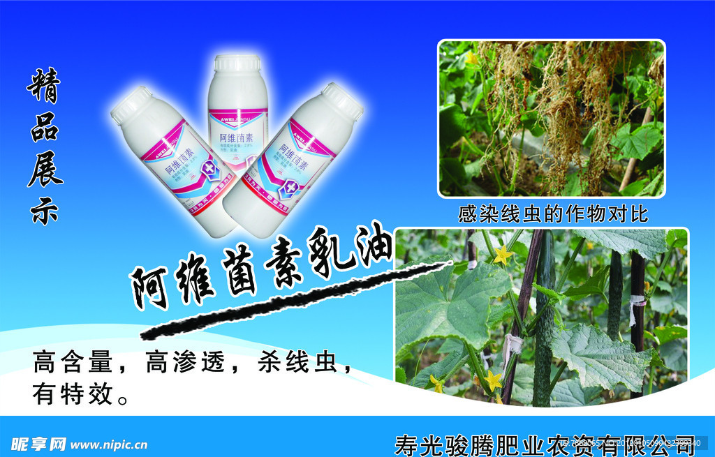 感染线虫的作物对比图