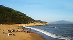 阿拉伯海