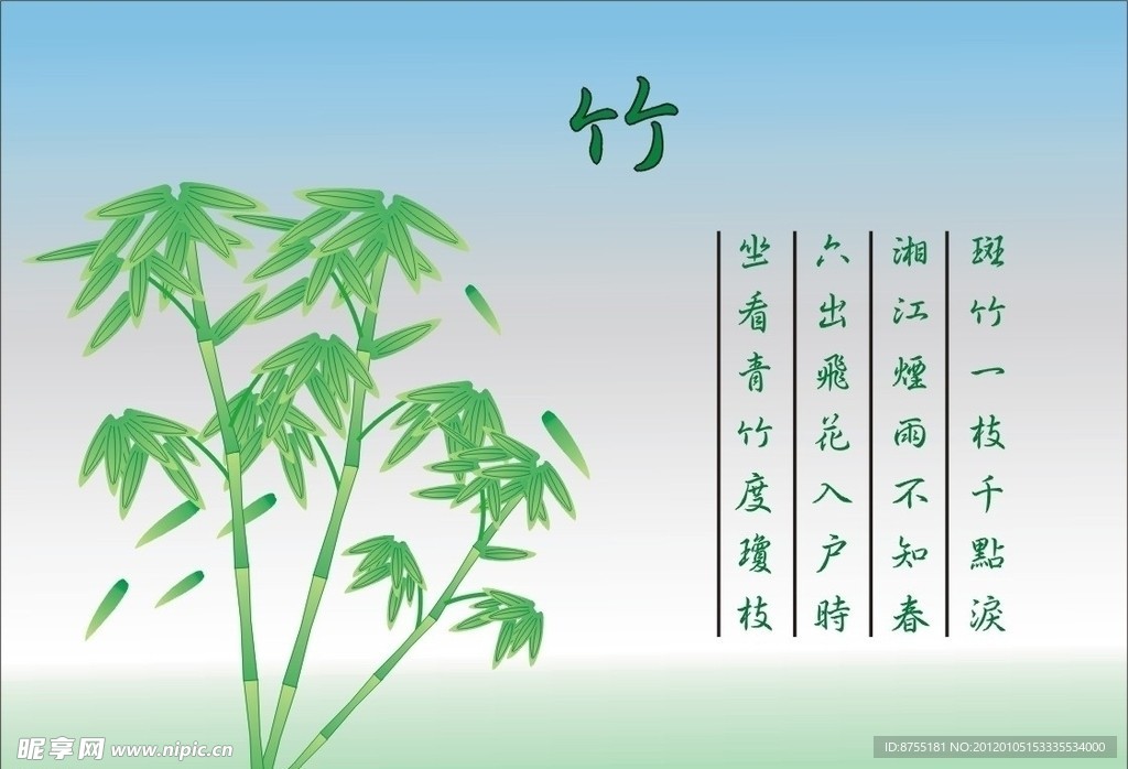 绘制竹