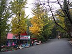 山路