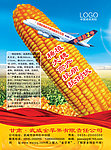 玉米广告