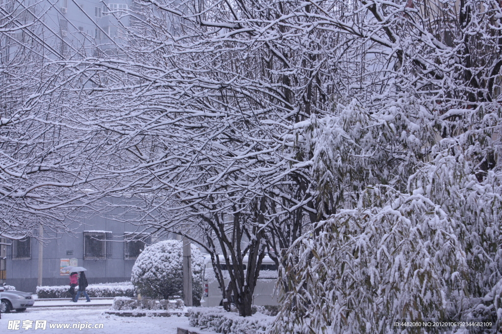 积雪