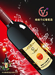 红酒广告