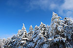 雪景 峨眉山