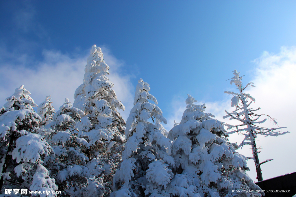 雪景 峨眉山 金顶