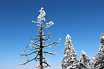 峨眉山雪景 雪景