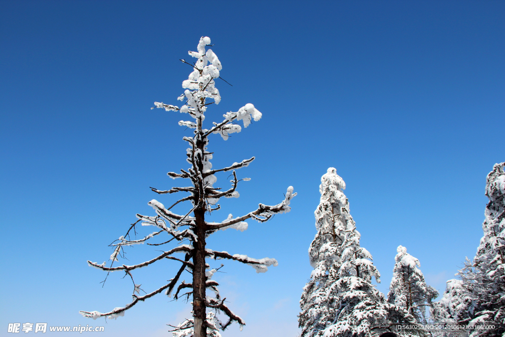 峨眉山雪景 雪景