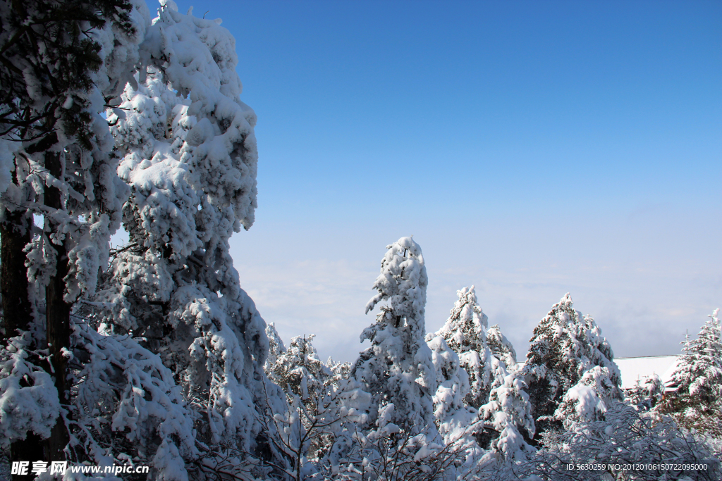 峨眉山雪景 雪景