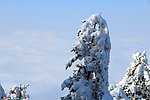 峨眉山雪景