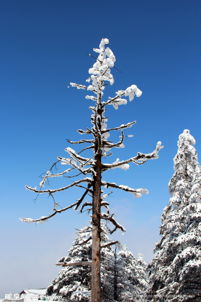 峨眉山雪景 雪景