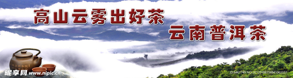 高山云雾普洱茶