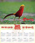 2013年蛇年挂历