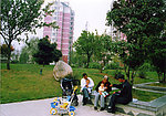 国家4级住宅小区 和谐梦园小区