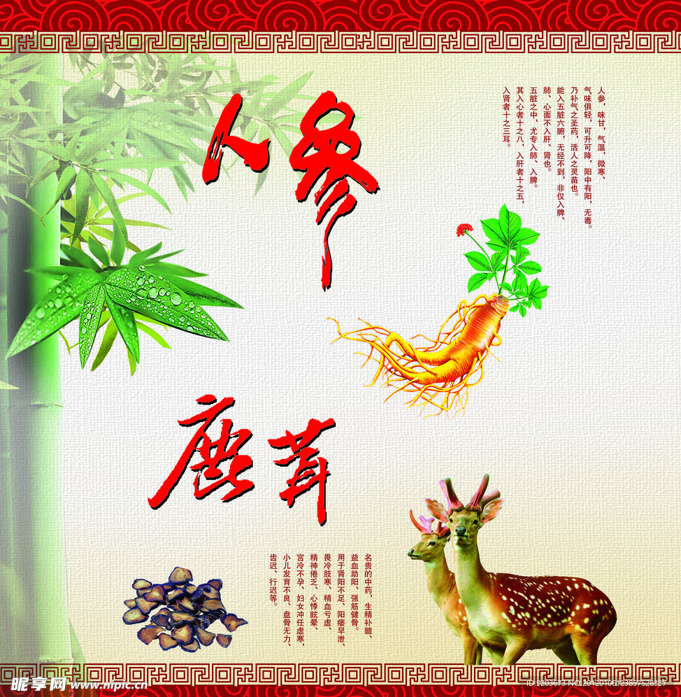 人参鹿茸