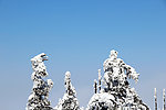 雪景 峨眉山