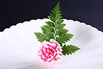 菜品装饰花