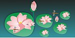 荷花图
