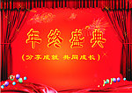 晚会幕布