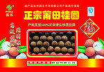 福佳正宗莆田桂圆