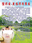眼部美容