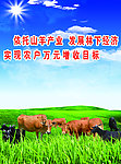 牛羊