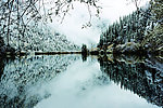 冬季湖边雪景