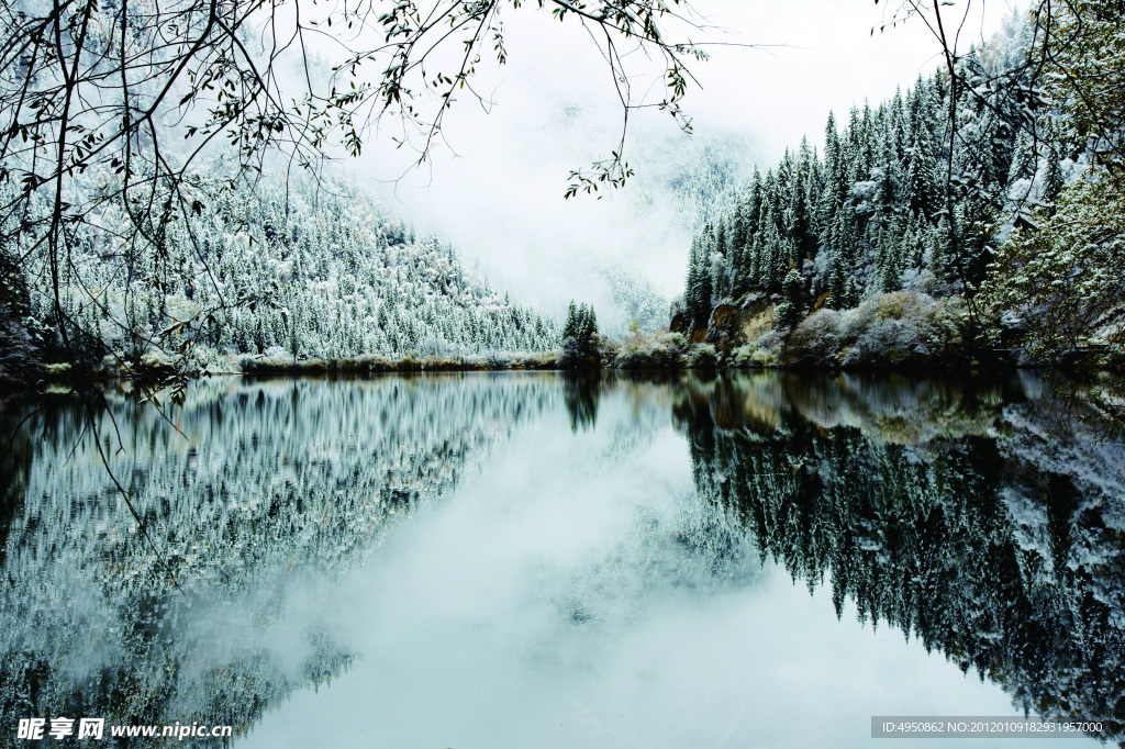 冬季湖边雪景