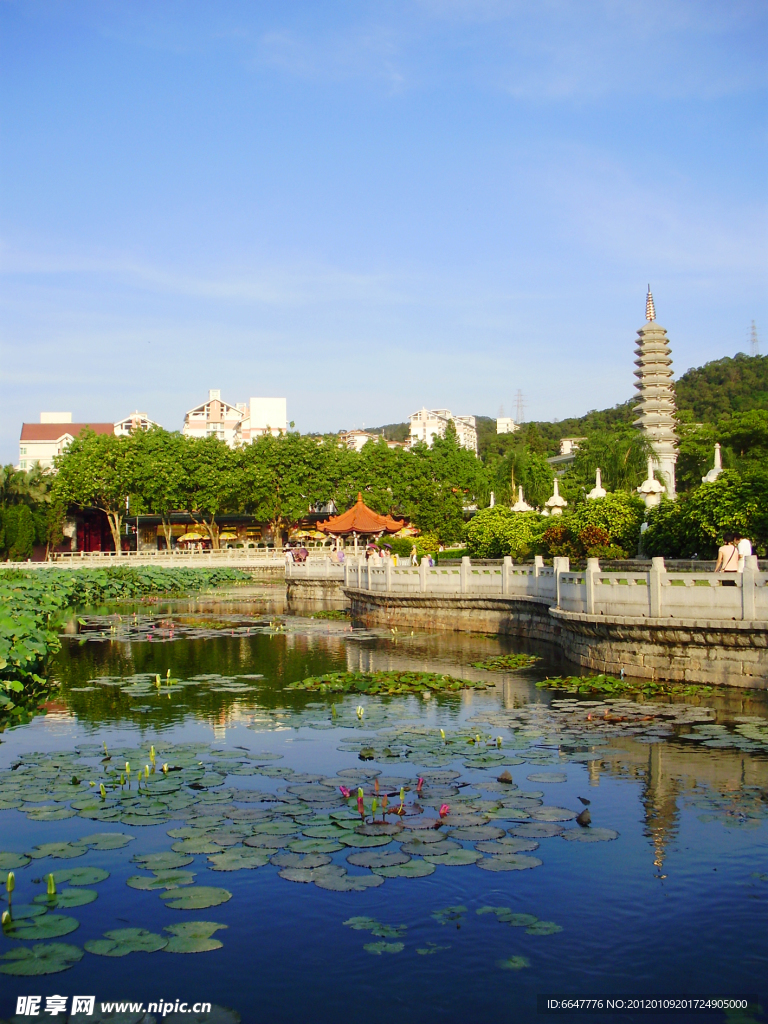 生态公园