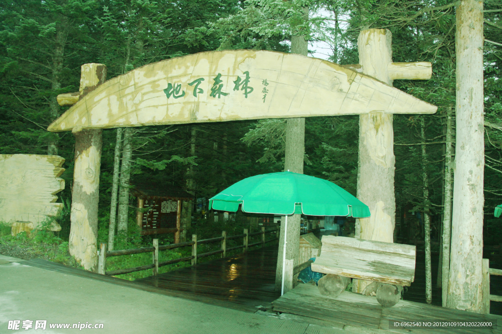 长白山森林