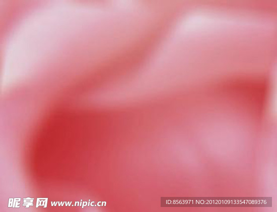 粉色玫瑰影视背景素材